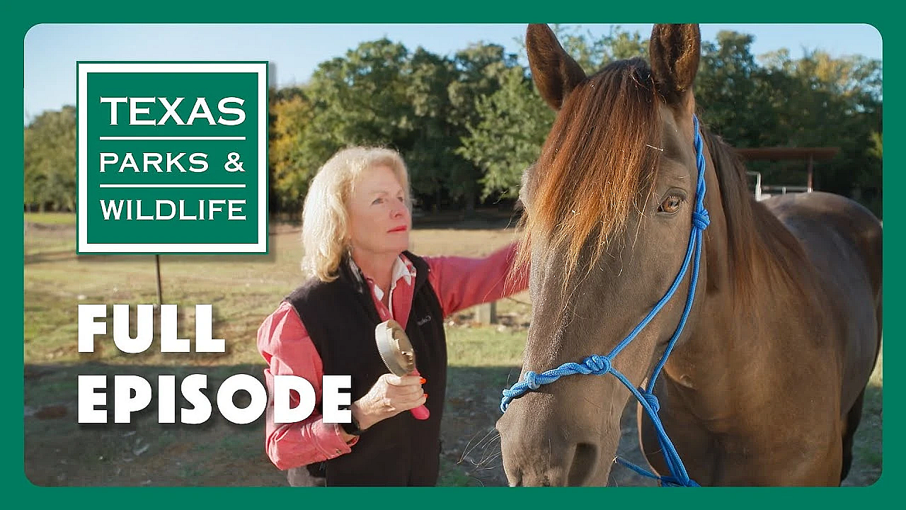 Pbs Show - Weekend At Ray Roberts Lake State Park