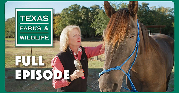 Pbs Show - Weekend At Ray Roberts Lake State Park