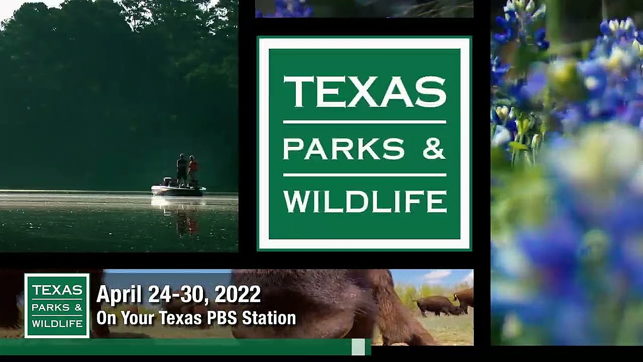 Pbs Preview - Saving Starry Skies, Turkey Teamwork, Inspired Artist