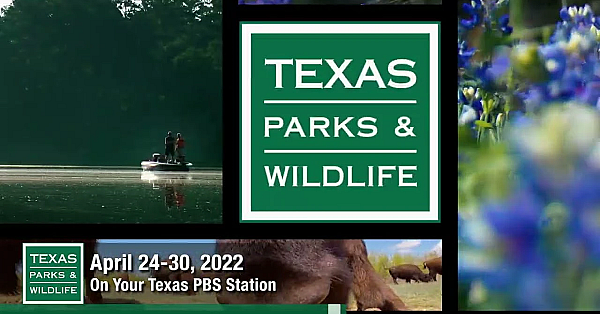 Pbs Preview - Saving Starry Skies, Turkey Teamwork, Inspired Artist