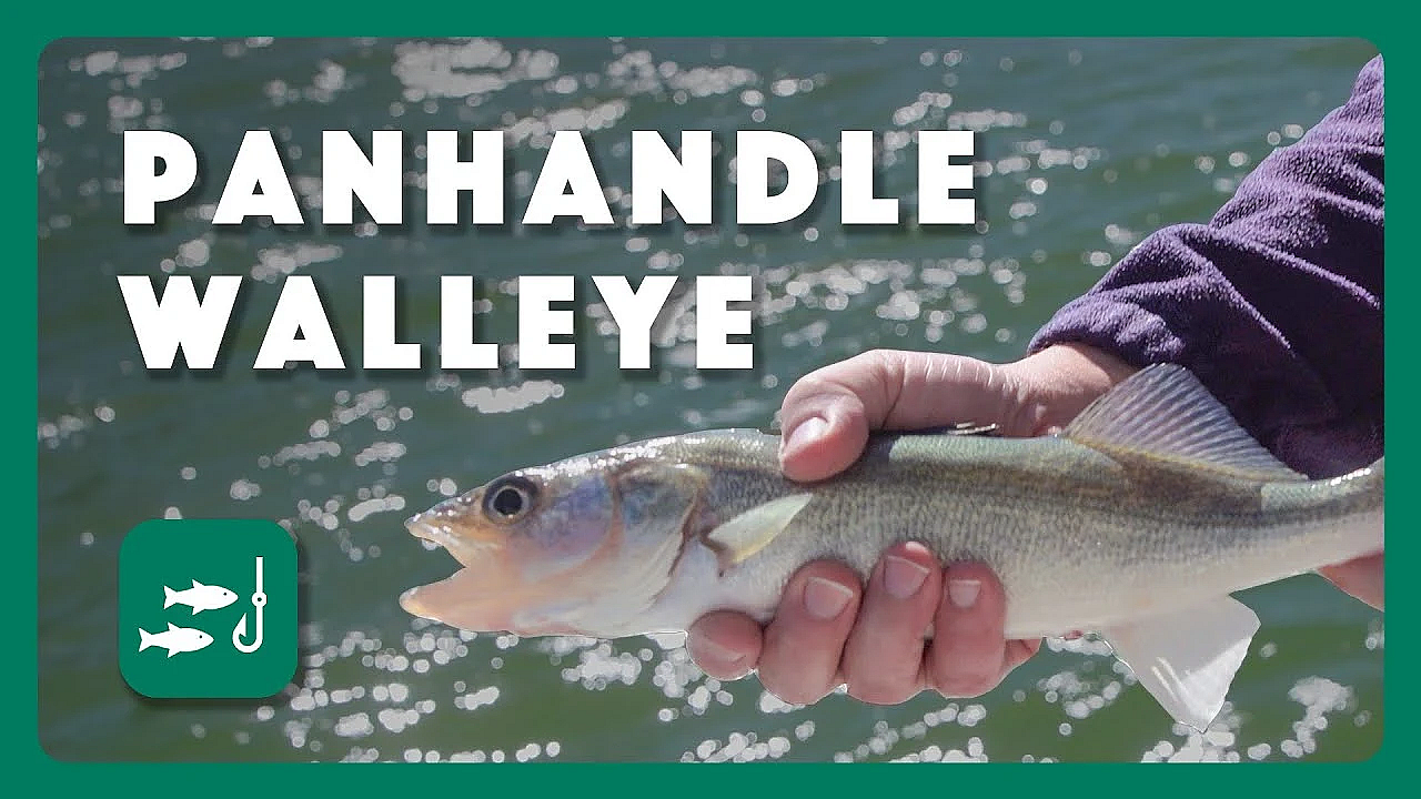 Texas Panhandle Walleye