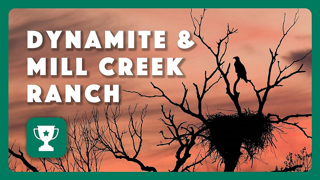 Dynamite &amp; Mill Creek Ranch - 2024 Lone Star Land Steward