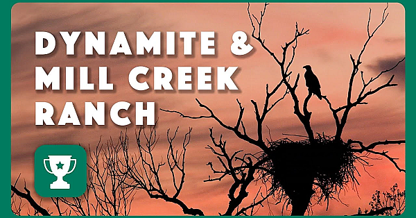 Dynamite &amp; Mill Creek Ranch - 2024 Lone Star Land Steward