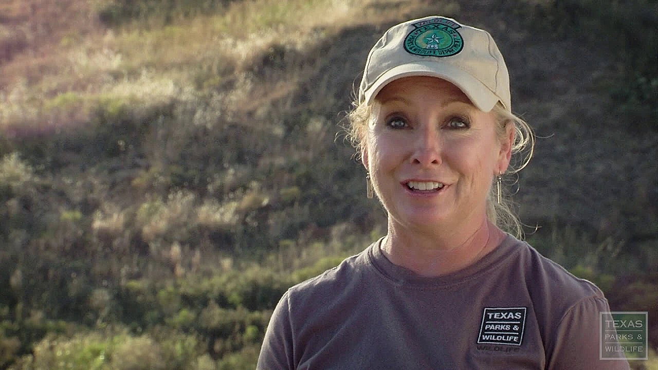 Pbs Show - Mule Deer, Sea Rim Sounds, Dinosaur Tracks, #2823