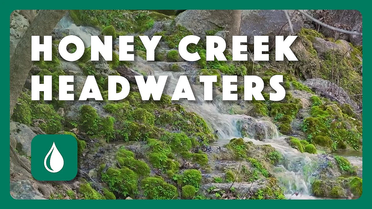Honey Creek Headwaters - Postcard From Texas