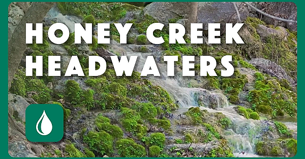 Honey Creek Headwaters - Postcard From Texas