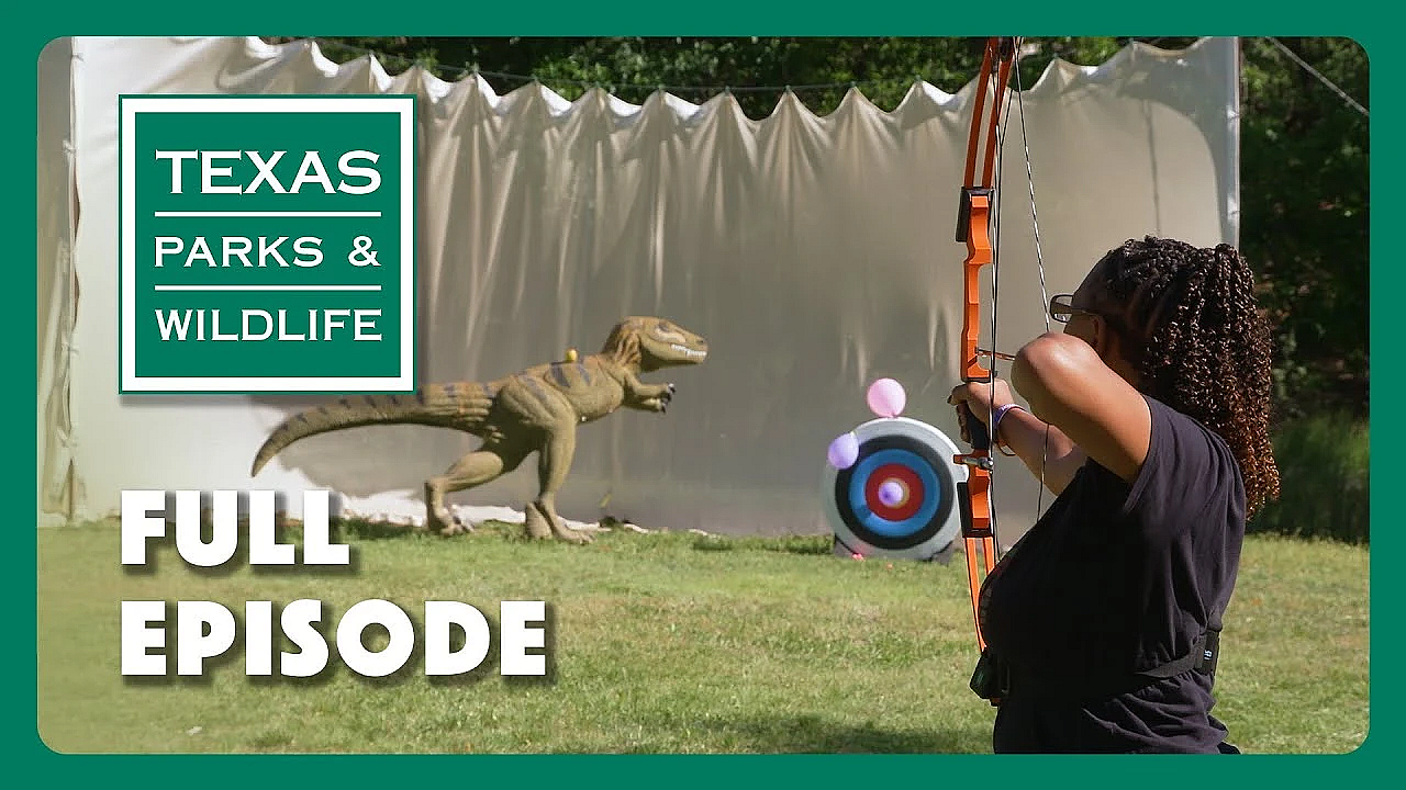 Pbs Show - Outdoors Woman, Longleaf Legacy &amp; Padre Island