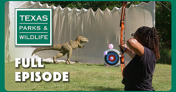 Pbs Show - Outdoors Woman, Longleaf Legacy &amp; Padre Island