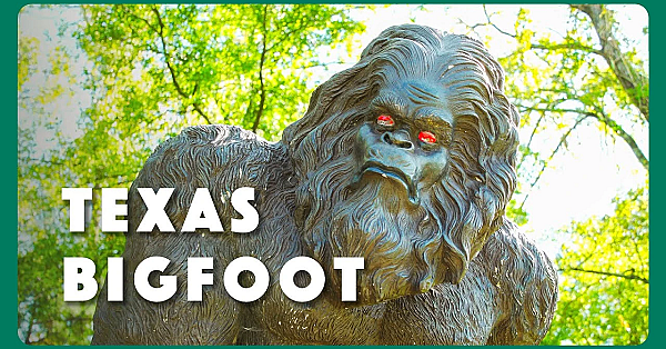 Texas Bigfoot