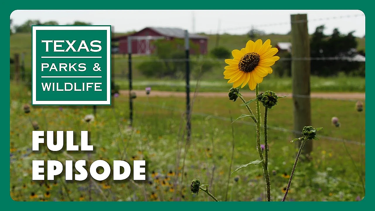 Pbs Show - Prairie Protectors, Operation Snap &amp; Sabine River Paddling