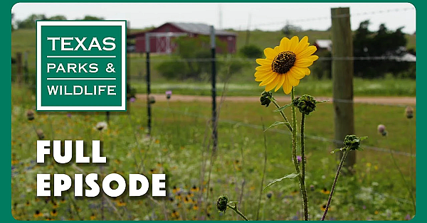 Pbs Show - Prairie Protectors, Operation Snap &amp; Sabine River Paddling