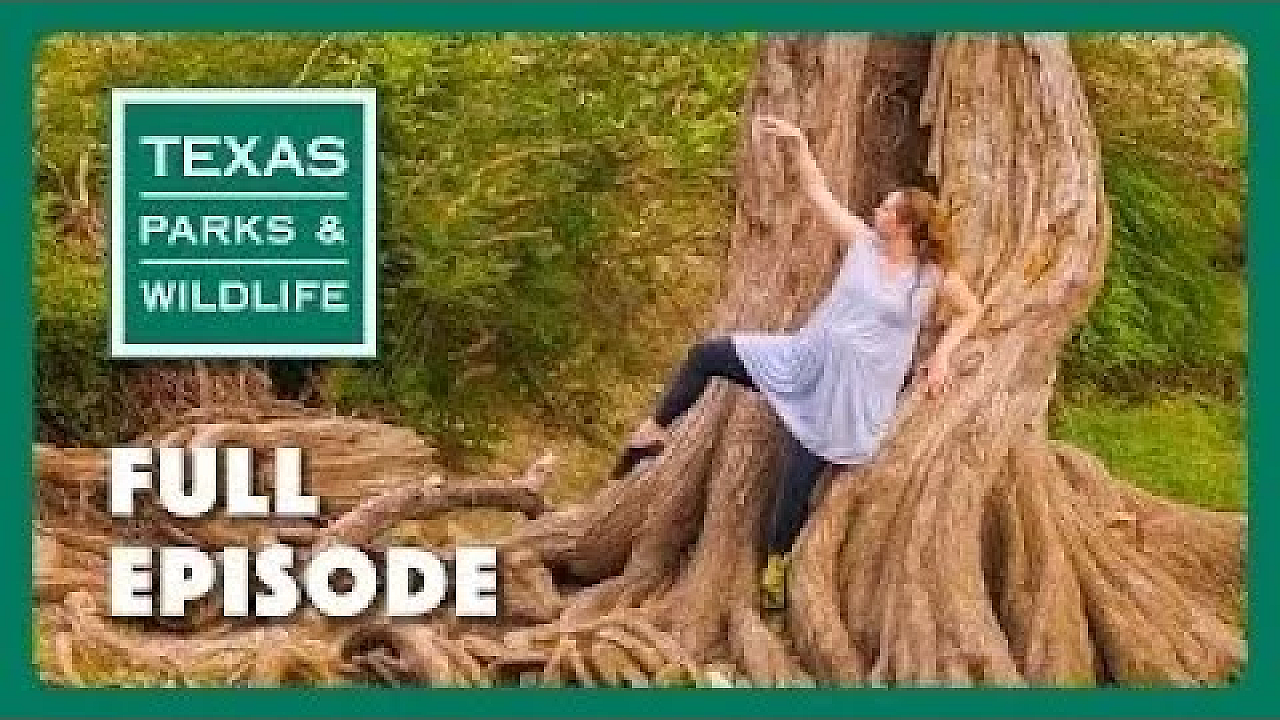 Pbs Show - Nature’s Rhythm, Crab Trap Cleanup, &amp; Beneficial Wetland