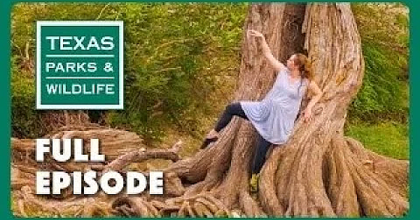 Pbs Show - Nature’s Rhythm, Crab Trap Cleanup, &amp; Beneficial Wetland