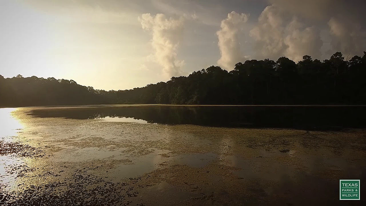 Postcard From Texas: High Above Huntsville State Park