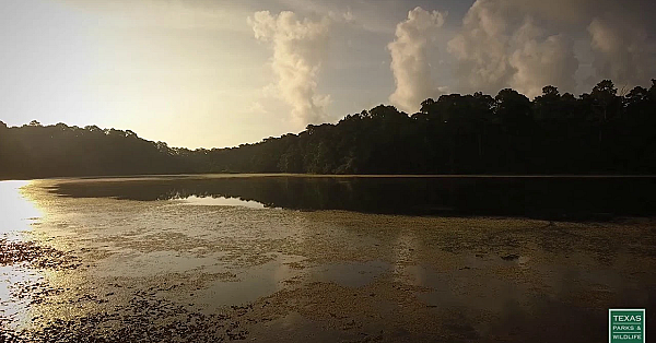 Postcard From Texas: High Above Huntsville State Park