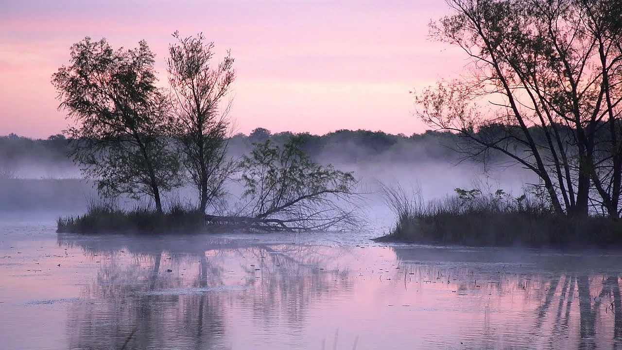 Pbs Show - Armored Invasion, Lake Somerville &amp; Beneficial Wetland