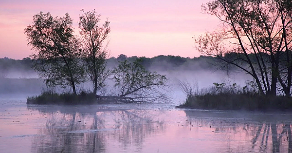 Pbs Show - Armored Invasion, Lake Somerville &amp; Beneficial Wetland