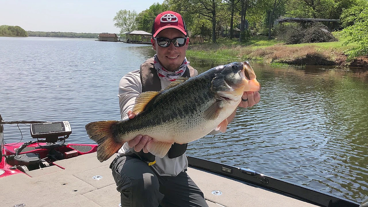 Enter Your Sharelunker Largemouth Bass With Our Free App