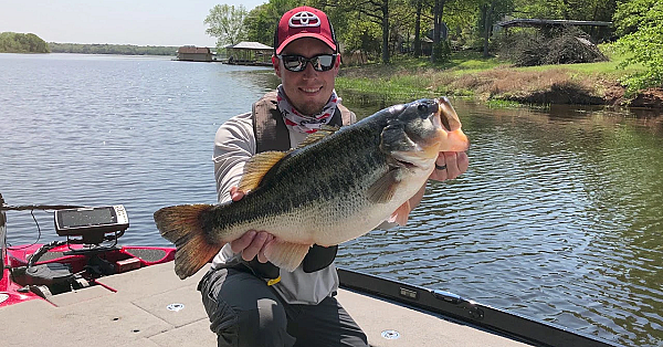 Enter Your Sharelunker Largemouth Bass With Our Free App