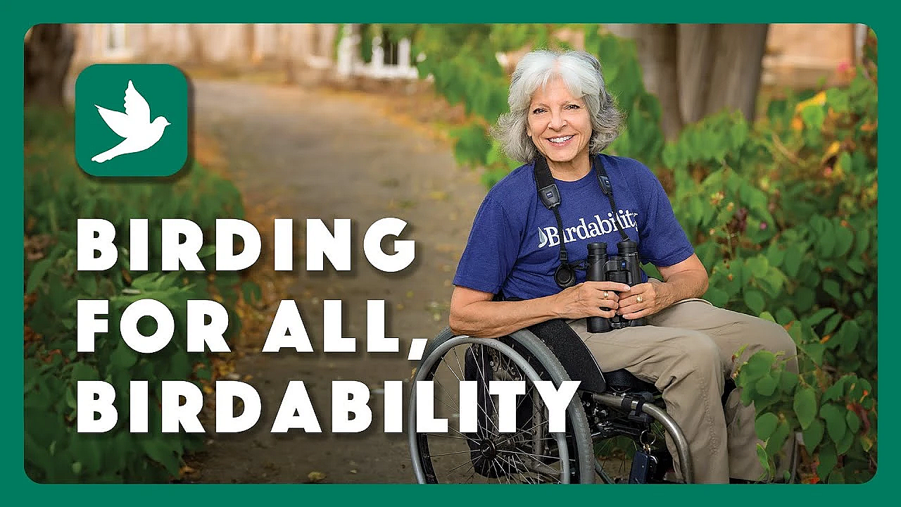 Birdability, Making Birding More Accessible
