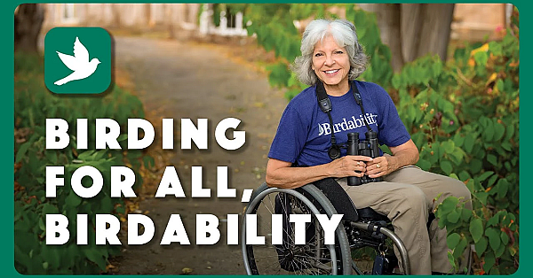 Birdability, Making Birding More Accessible