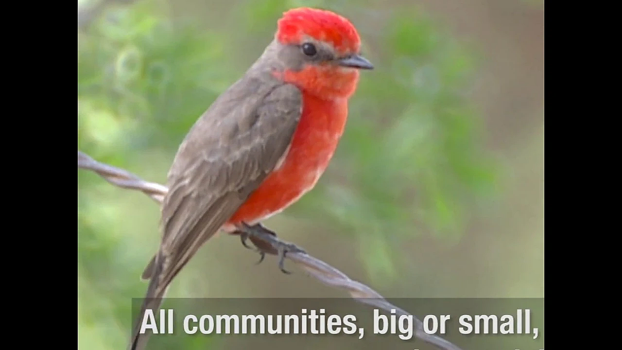 Apply To Be A Bird City Texas Community!