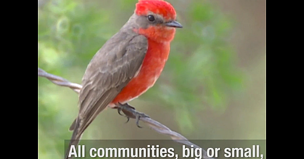Apply To Be A Bird City Texas Community!