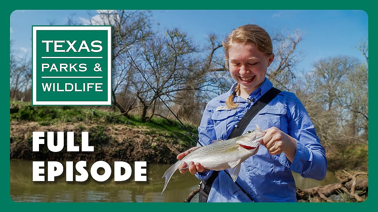 Pbs Show - White Bass Fishing &amp; More