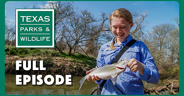 Pbs Show - White Bass Fishing &amp; More