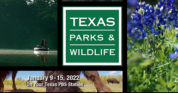Pbs Preview - The County Warden, 7 Oaks Ranch, Austin's Warblers - #3014
