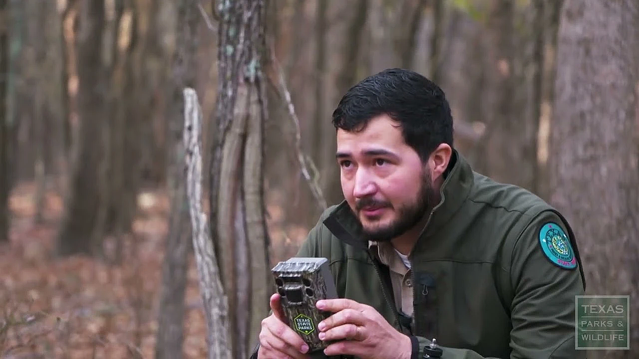 Watching For Wildlife At Ray Roberts Lake - Texas Parks And Wildlife [official]