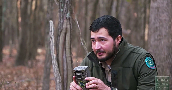 Watching For Wildlife At Ray Roberts Lake - Texas Parks And Wildlife [official]