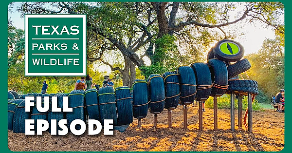 Pbs Show - Recycled Playscapes &amp; More