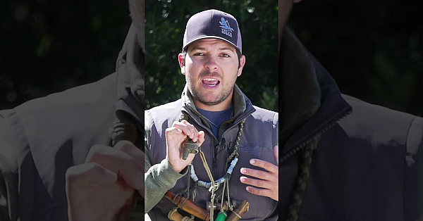 Duck Calling 101 #waterfowl #ducks