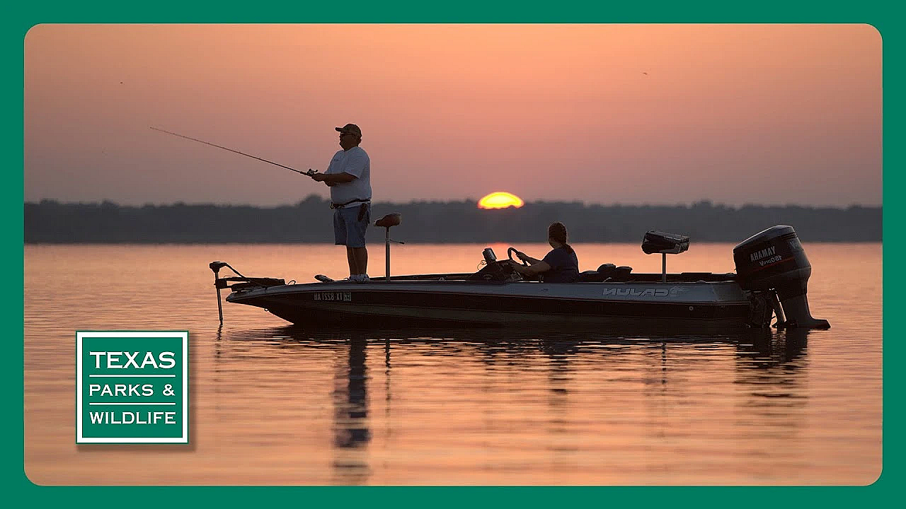 Pbs Trailer - Cooper Lake, Horned Lizards &amp; Cibolo Nature Center