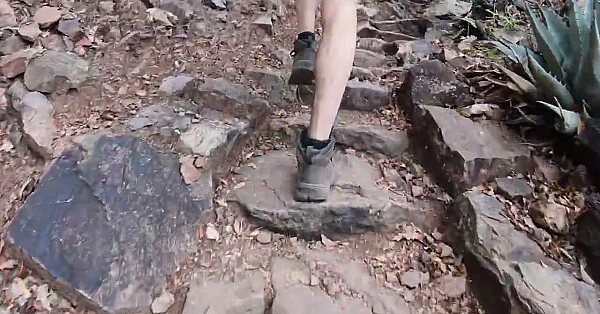 Postcard From Texas: South Rim Hike At Big Bend National Park