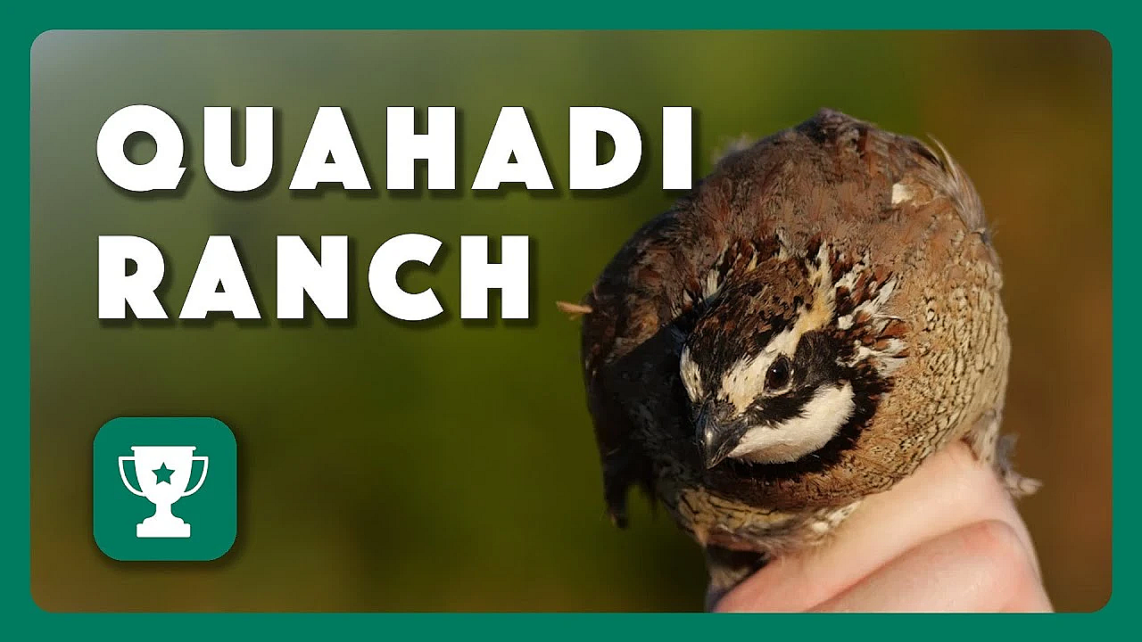 2023 Lone Star Land Steward: Quahadi Ranch