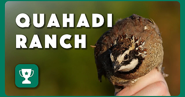 2023 Lone Star Land Steward: Quahadi Ranch