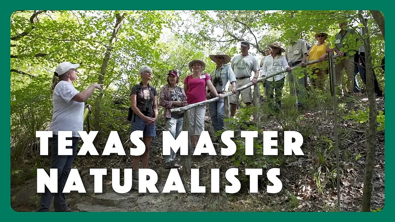 Why We Love Texas Master Naturalists