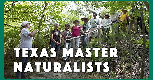 Why We Love Texas Master Naturalists