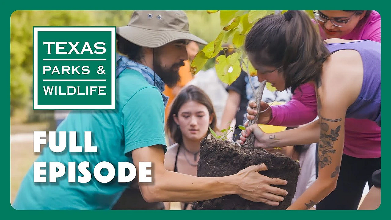 Pbs Show - Austin Food Forest &amp; More
