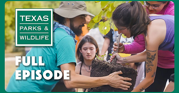 Pbs Show - Austin Food Forest &amp; More