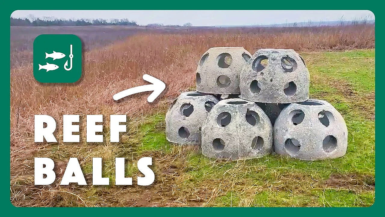 Lake Ralph Hall's New Fish Habitat