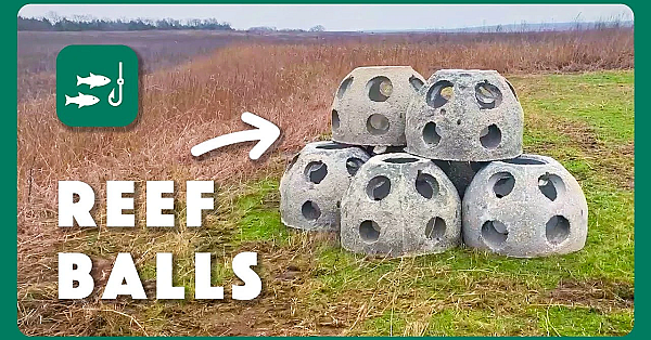 Lake Ralph Hall's New Fish Habitat