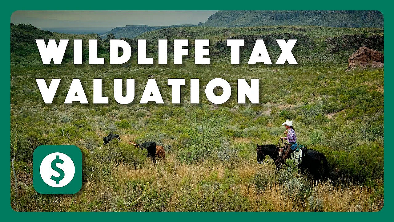 What Is A Wildlife Tax Valuation?