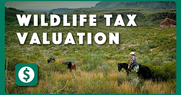 What Is A Wildlife Tax Valuation?