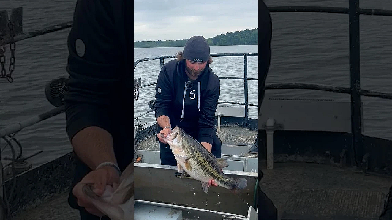 It's Sharelunker Season! #biggerbetterbass