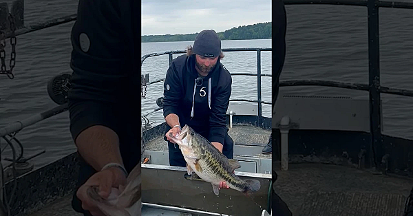 It's Sharelunker Season! #biggerbetterbass