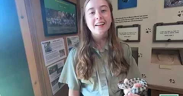 Volunteering At Texas Parks And Wildlife