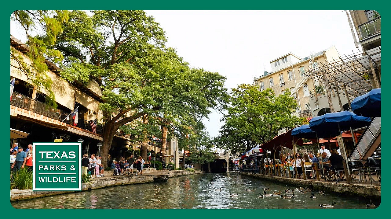 Pbs Trailer - Paddling Trails, Edwards Aquifer &amp; The Art Of Texas